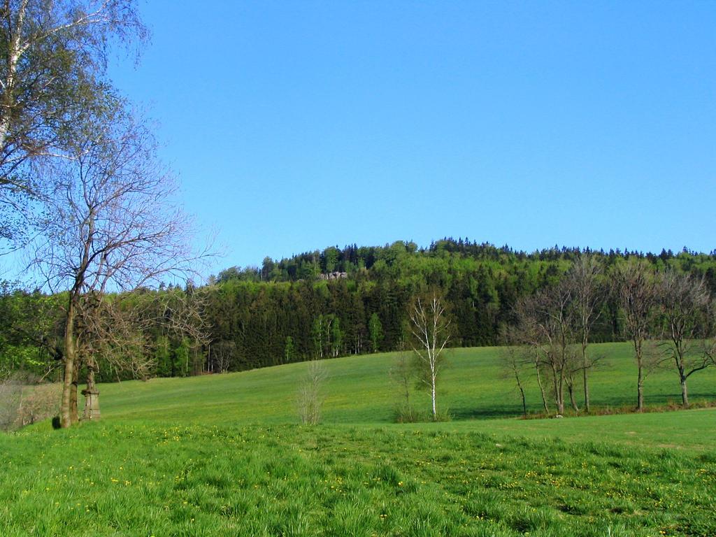 Roubenka Elisabeth Hotel Jablonne nad Orlici ภายนอก รูปภาพ