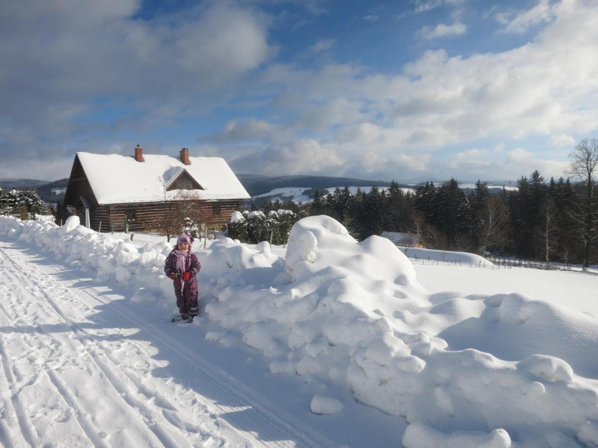 Roubenka Elisabeth Hotel Jablonne nad Orlici ภายนอก รูปภาพ